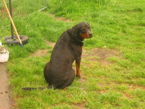 1.DragStar_Treffen_MD_2004.0015