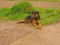 1.DragStar_Treffen_MD_2004.0013