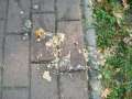 100.Geburtstag_2007.0064