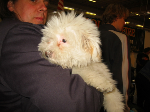15.Oststammtisch_2005.0018