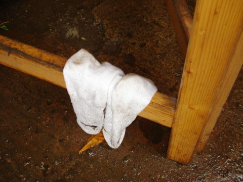 101MSD-DSC04606_DSC04606