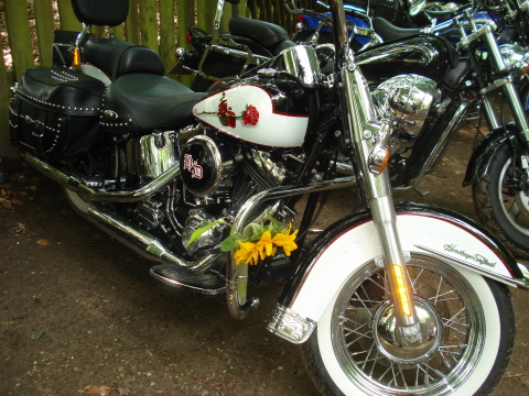 3.NC_Days_2009.0040