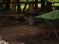 3.NC_Days_2009.0012