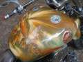 3.NC_Days_2009.0023