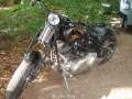 3.NC_Days_2009.0037