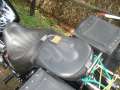 3.NC_Days_2009.0038