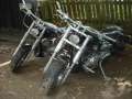 3.NC_Days_2009.0041