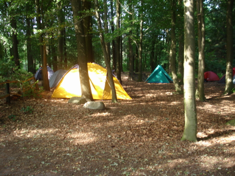4.NC_Party_2010.0012