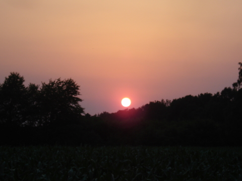 4.NC_Party_2010.0065