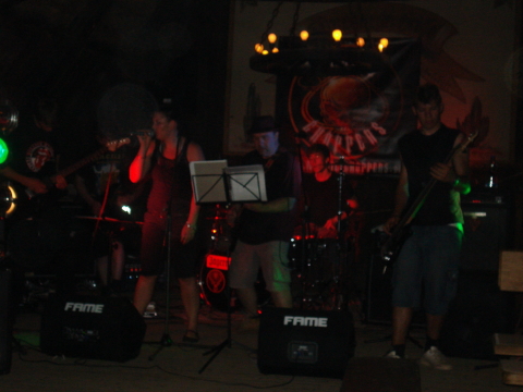 4.NC_Party_2010.0074