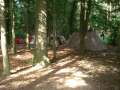 4.NC_Party_2010.0013