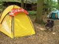 4.NC_Party_2010.0029