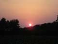 4.NC_Party_2010.0065