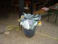 4.NC_Party_2010.0100