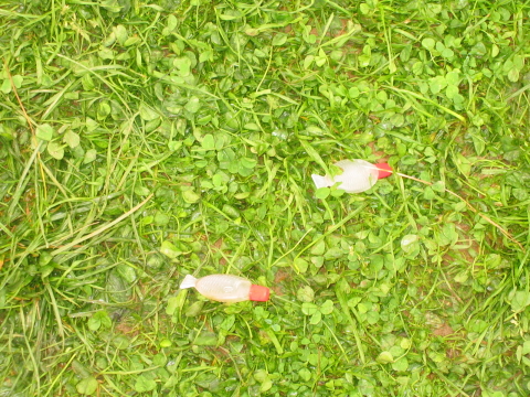 4.SBD_2006.0088