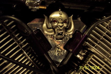40.Geb.Skullbull_2004.0002