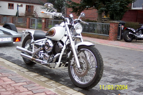 40.Geb.Skullbull_2004.0022