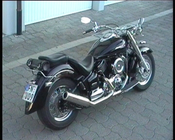 40.Geb.Skullbull_2004.0029