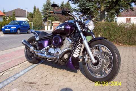 40.Geb.Skullbull_2004.0042