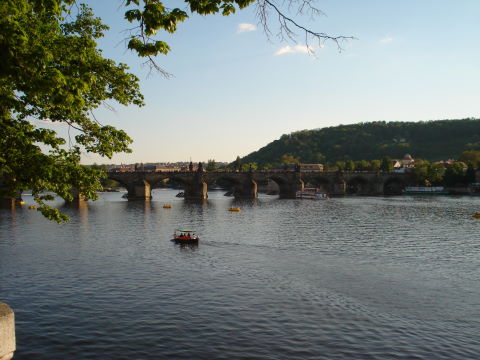 101MSD-DSC02714_DSC02714