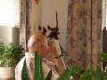 101MSD-DSC02771_DSC02771