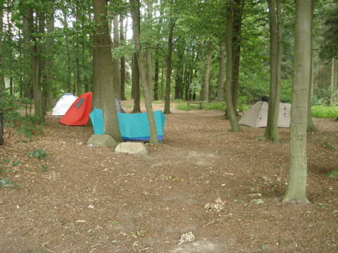 NC_Days_2011.0003