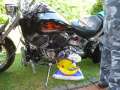8.SBD_2010.0062
