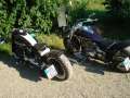 8.SBD_2010.0080