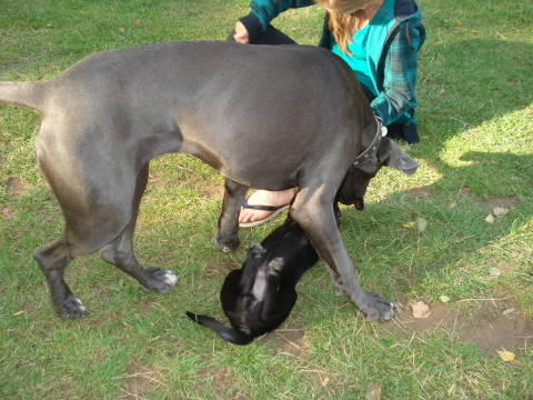 9.SBD_2011.0030