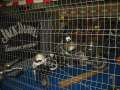 motorrad_1048