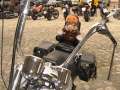 Bikergottesdienst_2003.0012