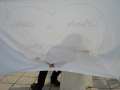 Bikerhochzeit_08.06.07.0051