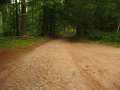 Wandlitz_29