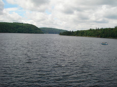 101MSD-DSC01318_DSC01318