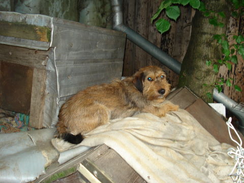 101MSD-DSC04453_DSC04453