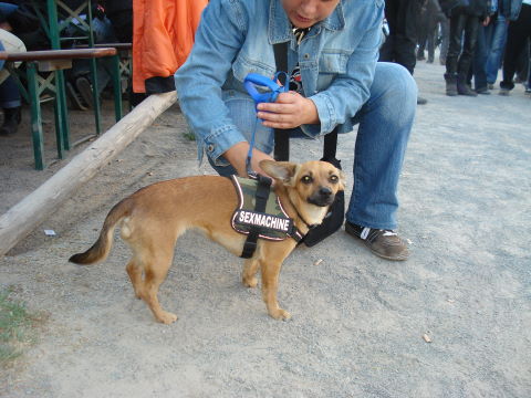 101MSD-DSC04466_DSC04466
