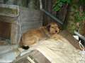 101MSD-DSC04453_DSC04453