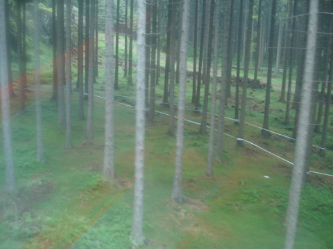Harztour_2009.0027