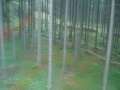 Harztour_2009.0027