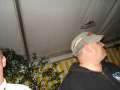 Harztour_2009.0052