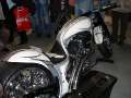 101MSD-DSC02426_DSC02426