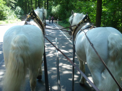 Pfingsttour_2012.0011