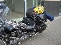 101MSD-DSC00808_DSC00808