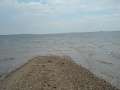 101MSD-DSC00954_DSC00954
