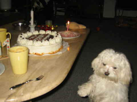 Emmely_1.Geburtstag_03
