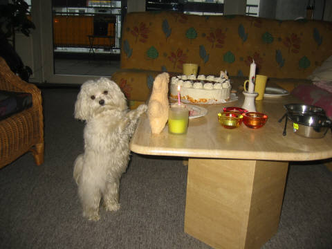 Emmely_1.Geburtstag_05