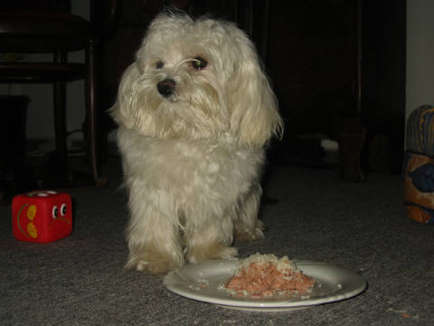 Emmely_1.Geburtstag_06