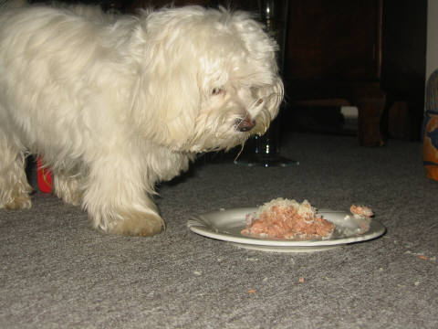 Emmely_1.Geburtstag_07