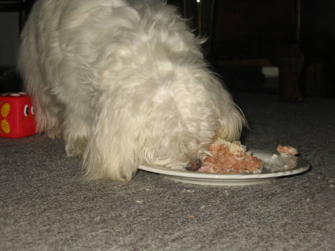 Emmely_1.Geburtstag_08