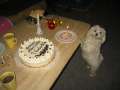 Emmely_1.Geburtstag_01